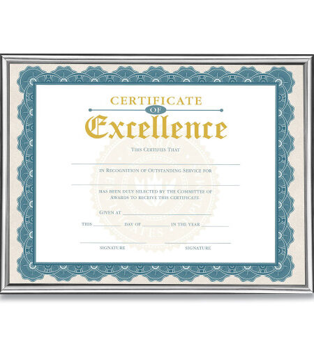Victory Light U-Channel Document Frame, 8.5 x 11, Silver